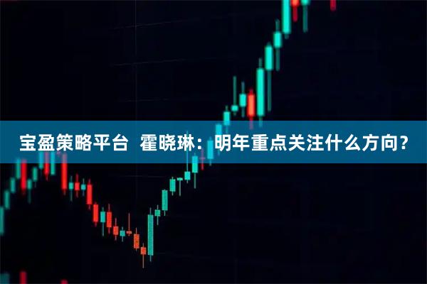 宝盈策略平台  霍晓琳：明年重点关注什么方向？