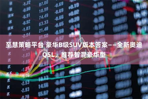 至慧策略平台 豪华B级SUV版本答案——全新奥迪Q5L，推荐智混豪华型
